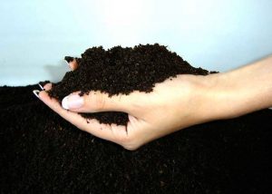 Toprağı nitrojene doyuralım