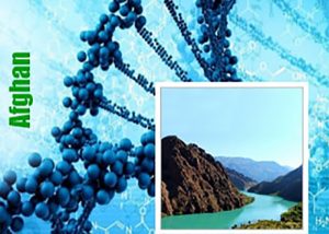 Afghani genetiğine sahip kenevir çeşitleri